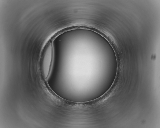 X0000090760880200707201051