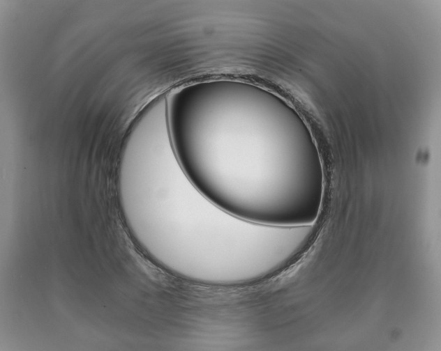 X0000090760881200707201051