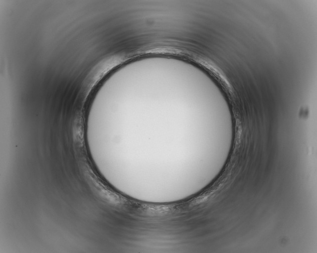 X0000090760882200707201051