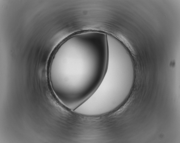 X0000090760884200707201051