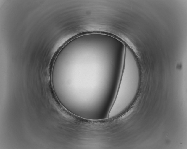 X0000090760885200707201051