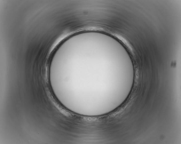X0000090760886200707201051