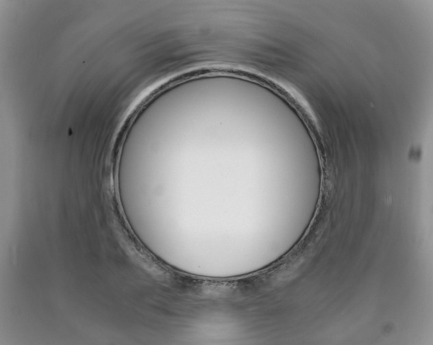 X0000090760887200707201051