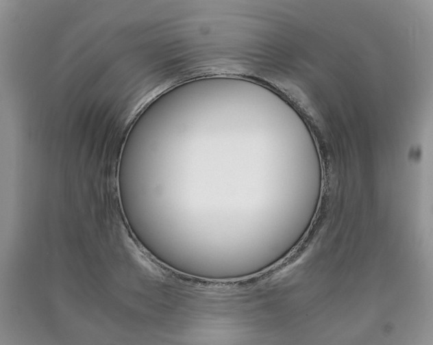 X0000090760889200707201051