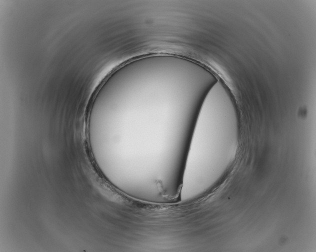 X0000090760891200707201051
