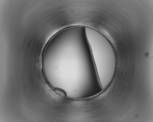 X0000090760892200707201051
