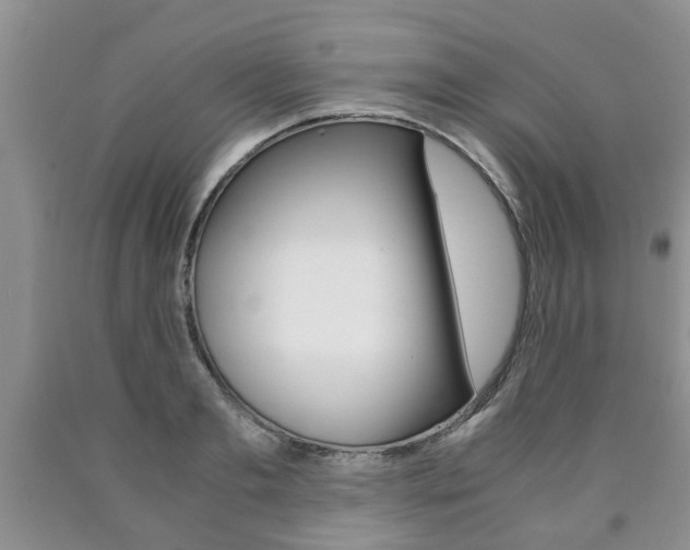 X0000090760893200707201051
