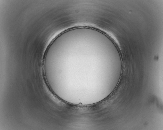 X0000090760895200707201051