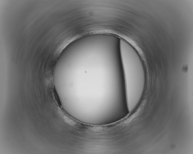 X0000090760897200707201051