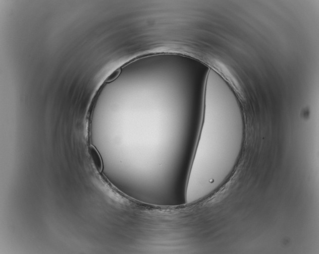 X0000090760900200707201051