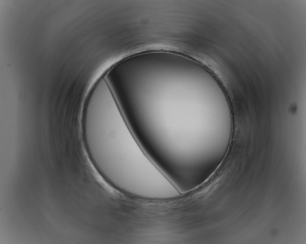 X0000090760902200707201051