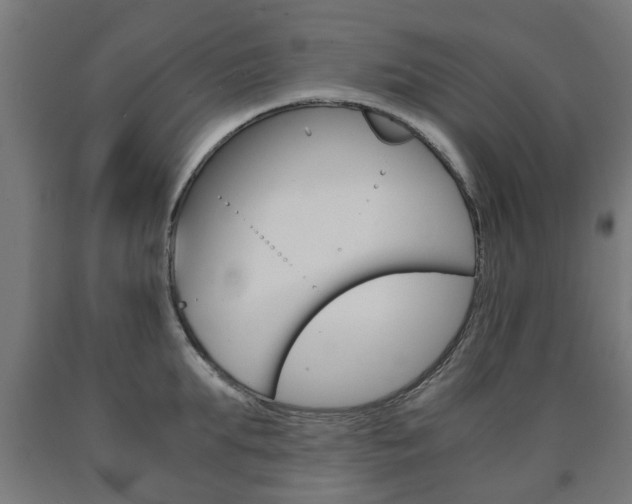 X0000090760903200707201051