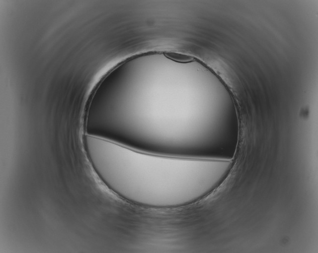X0000090760904200707201051