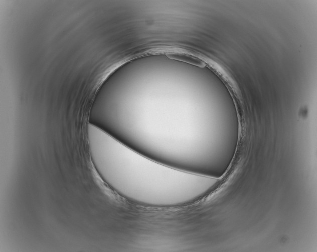 X0000090760905200707201051