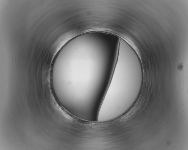 X0000090760906200707201051