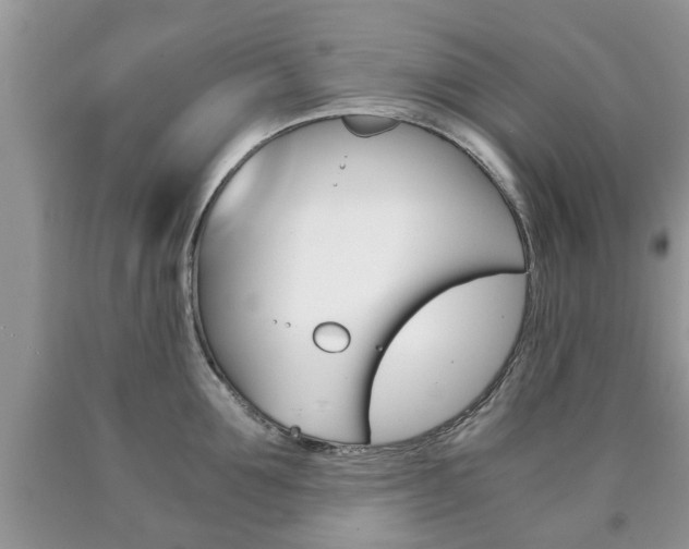 X0000090760907200707201051