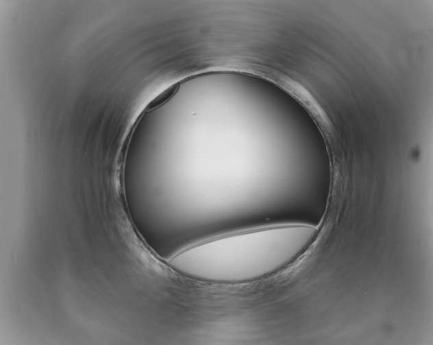 X0000090760908200707201051
