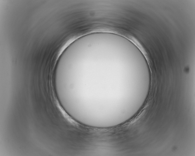 X0000090760909200707201051