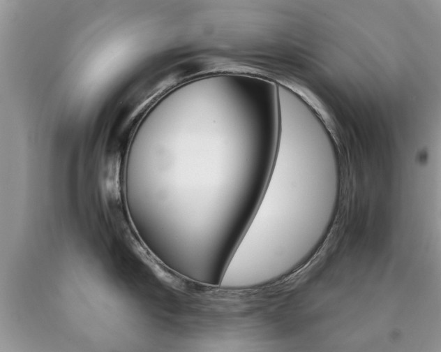 X0000090760910200707201051