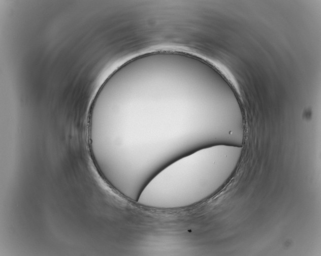 X0000090760911200707201051