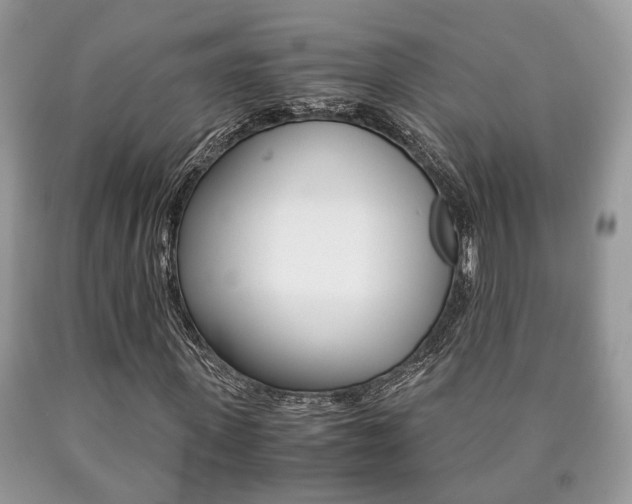 X0000090760915200707201050