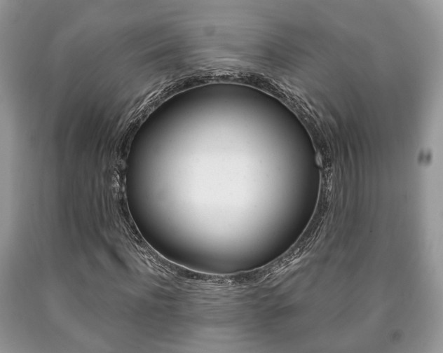 X0000090760916200707201050