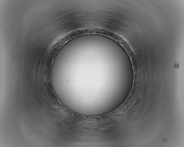 X0000090760919200707201050