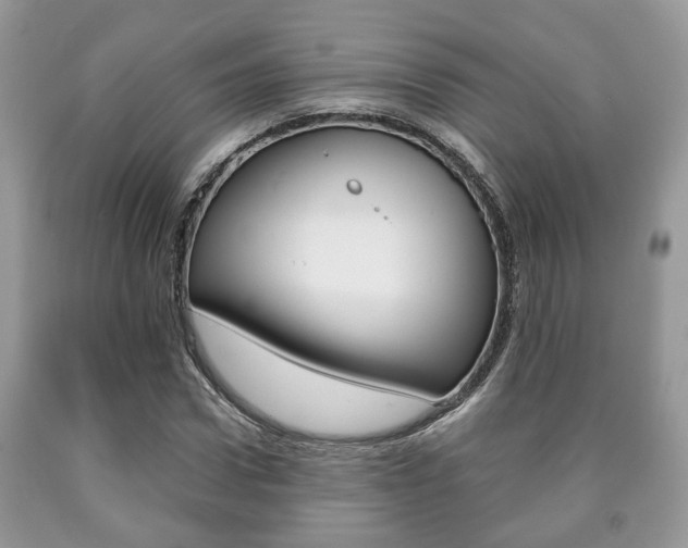 X0000090760922200707201050