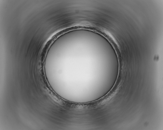 X0000090760923200707201050