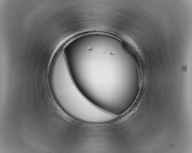 X0000090760924200707201050