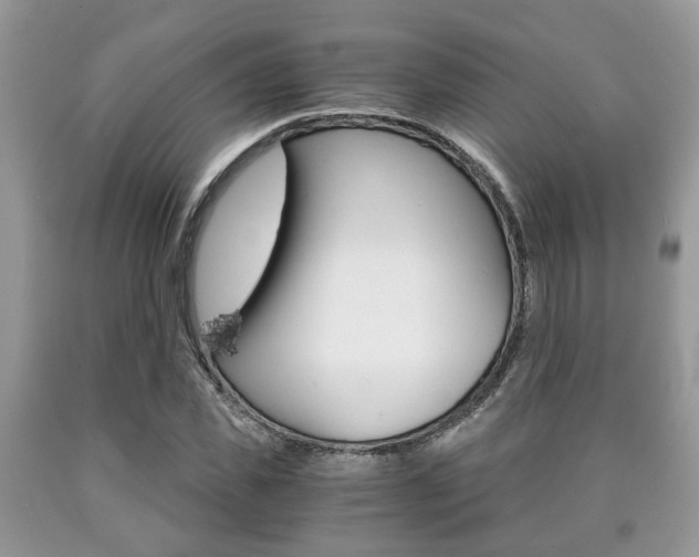 X0000090760925200707201050