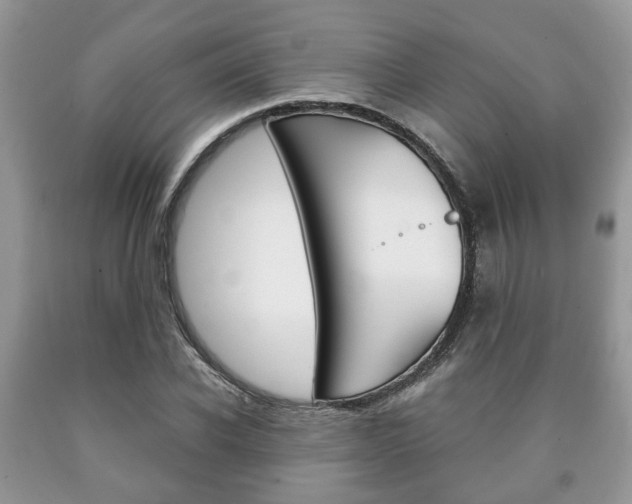 X0000090760926200707201050