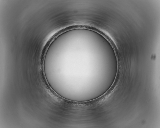 X0000090760927200707201050