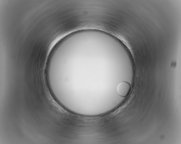X0000090760928200707201050