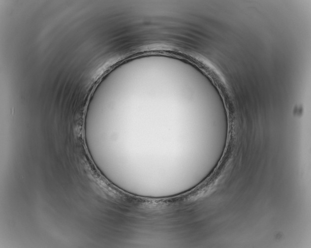 X0000090760929200707201050