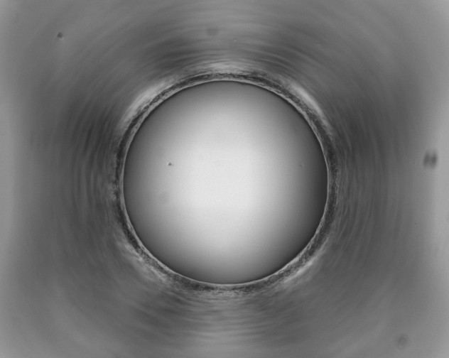 X0000090760930200707201050