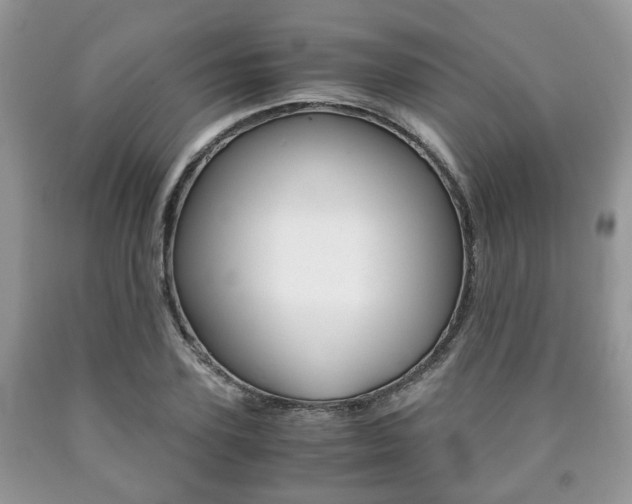 X0000090760931200707201050