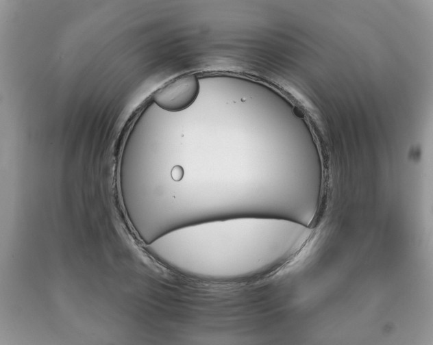 X0000090760933200707201050