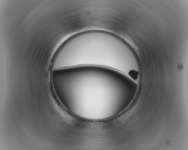 X0000090760934200707201050