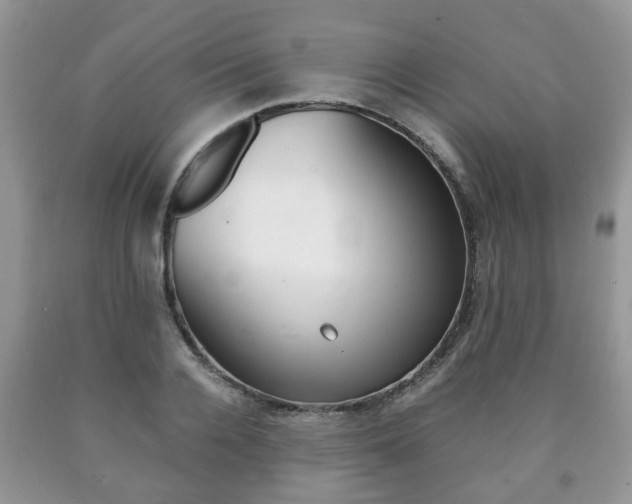 X0000090760936200707201050
