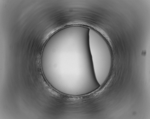 X0000090760937200707201050