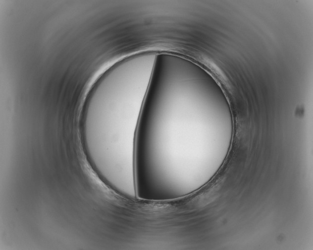 X0000090760939200707201050