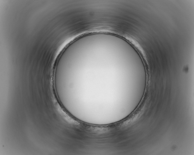X0000090760941200707201050