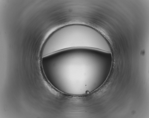 X0000090760942200707201050
