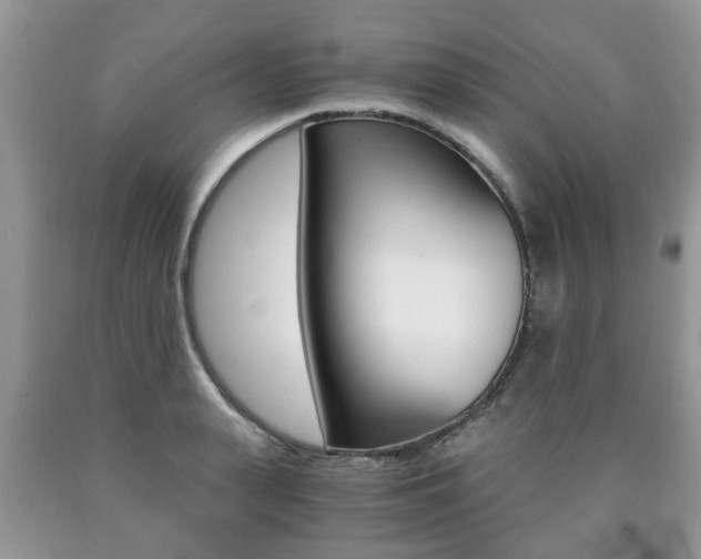 X0000090760943200707201050