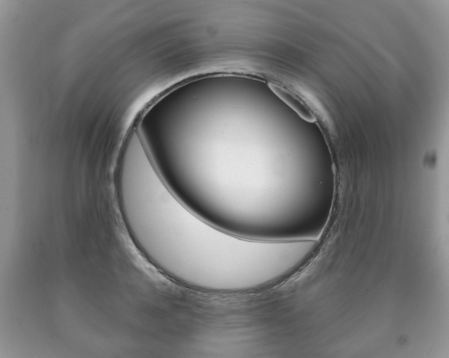 X0000090760944200707201051