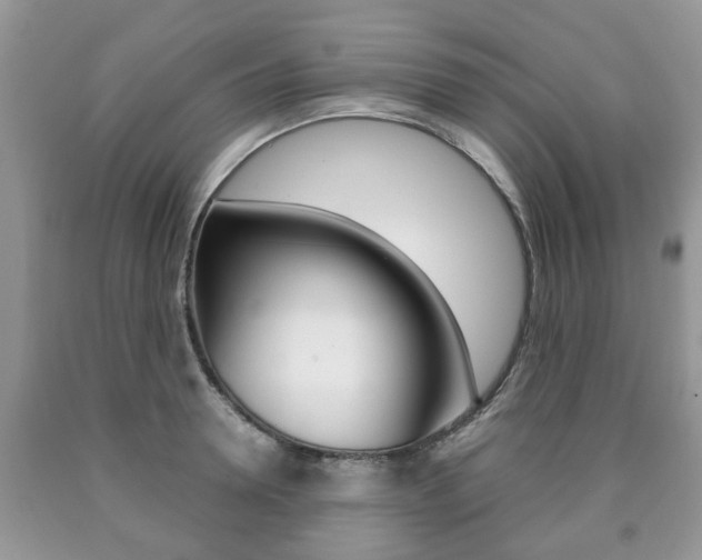 X0000090760946200707201051