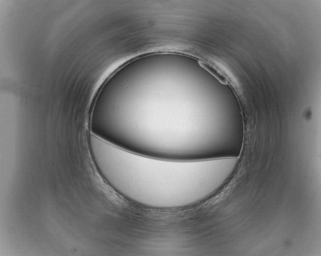 X0000090760948200707201051