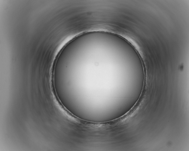 X0000090760949200707201051