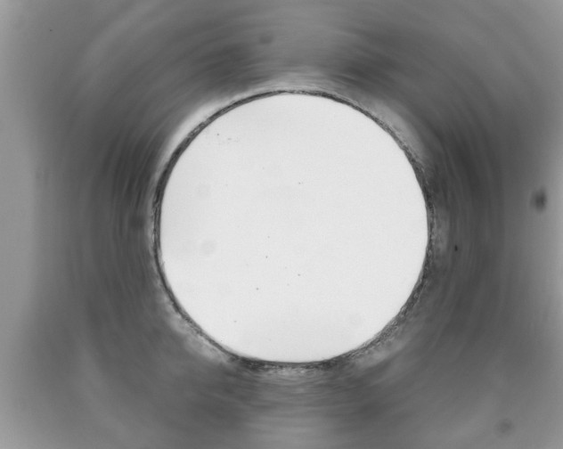 X0000090760950200707201051